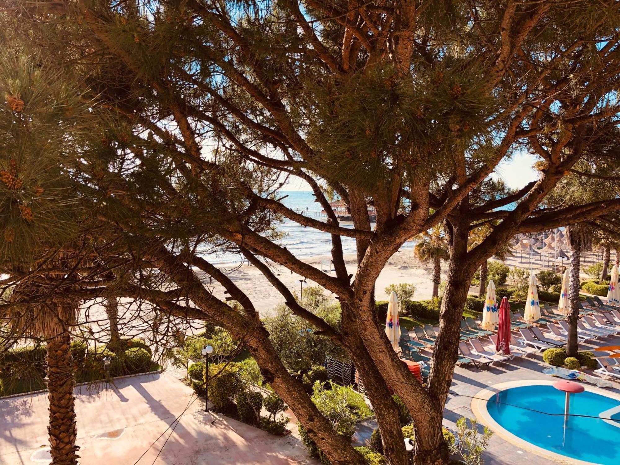 Mali I Robit Beachfront Apartment غوليم المظهر الخارجي الصورة